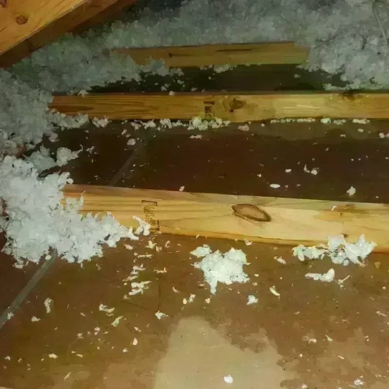 Attic Water Damage in Newington, VA